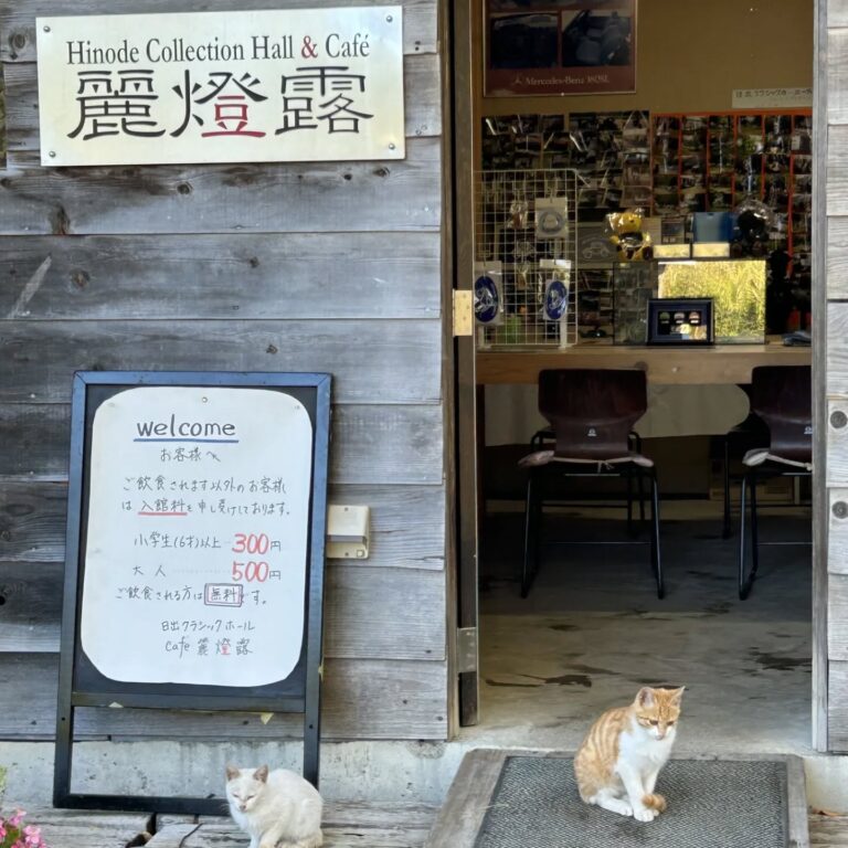 2026年シーズン営業開始のお知らせ｜日出クラシックパーク